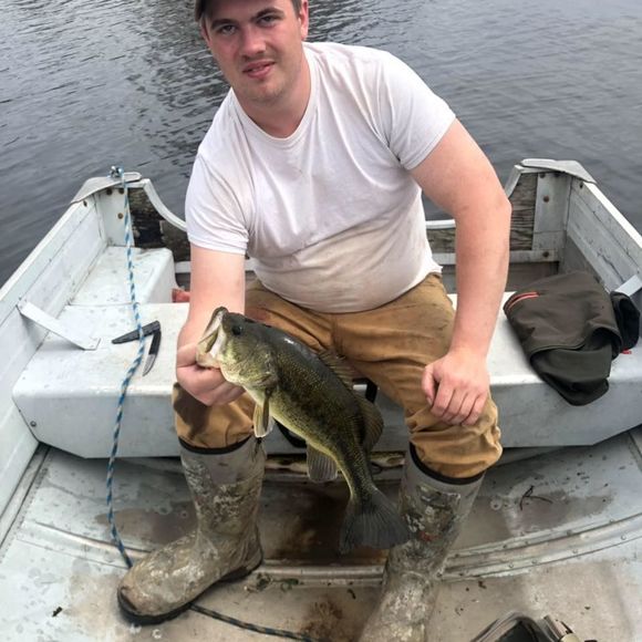 Meet your Posher, Jacob - Picture 1 of 1